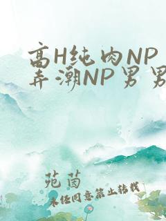 高H纯肉NP 弄潮NP男男