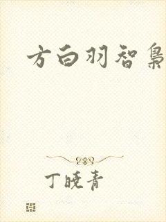 方白羽智枭