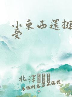 小东西还挺会享受