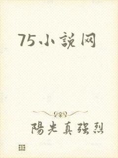 75小说网