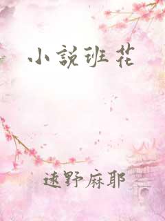 小说班花