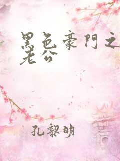 黑色豪门之王子老公