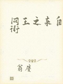 网王之来自流星街