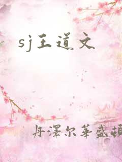 sj王道文