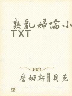 熟乱妇伦小说网TXT