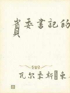 省委书记的小宝贝