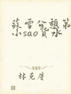 苏雪公憩第一章小sao货水