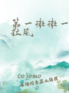 第一微微一笑很拉风