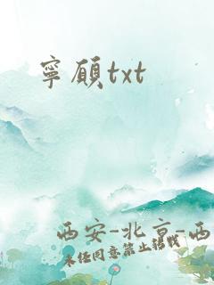 宁愿txt