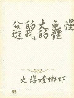 公的大龟慢慢挺进我的体