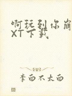 啊玩到你崩溃TXT下载