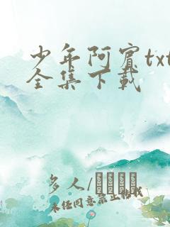 少年阿宾txt全集下载