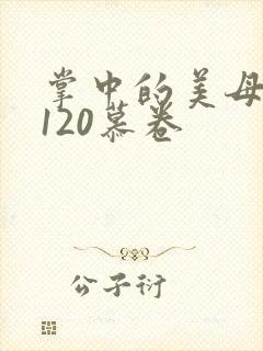 掌中的美母版主120慕卷