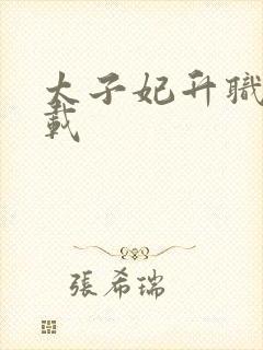 太子妃升职记下载