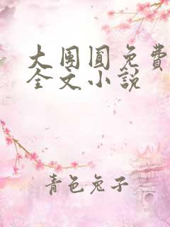 大团圆免费阅读全文小说