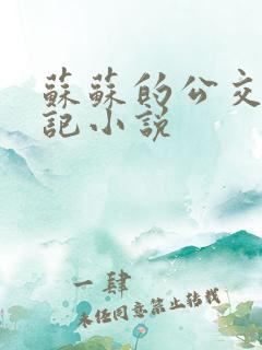 苏苏的公交车日记小说