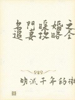 名门暖婚之权爷追妻攻略全文免费阅读