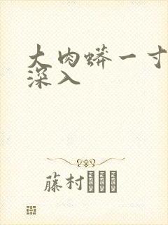 大肉蟒一寸寸地深入