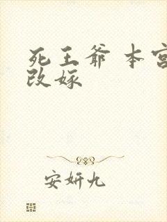 死王爷 本宫已改嫁