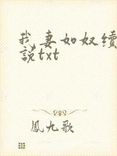 我妻如奴续写小说txt