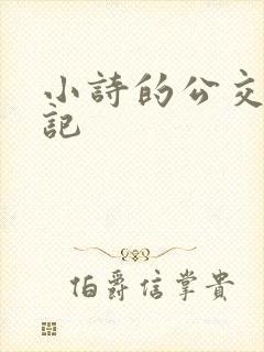 小诗的公交车日记