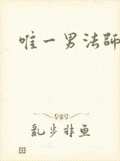 唯一男法师