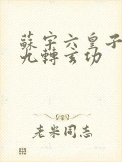 苏宇六皇子签到九转玄功