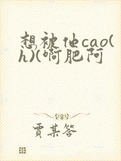 想被他cao(h)(啊肥阿