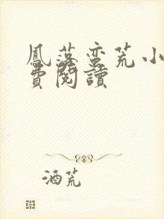 凤落蛮荒小说免费阅读