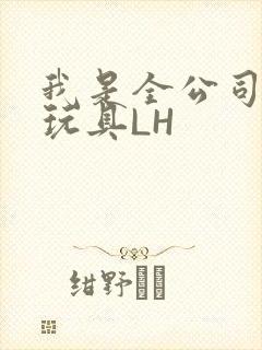 我是全公司发泄玩具LH