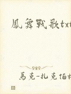 凤舞战歌txt