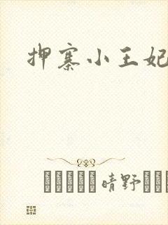 押寨小王妃