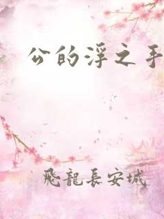 公的浮之手中字