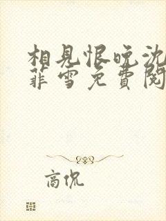 相见恨晚沈浩秦菲雪免费阅读