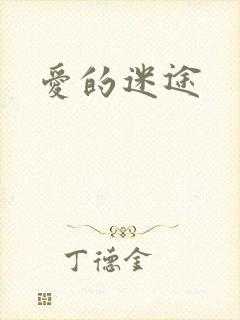爱的迷途