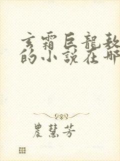 玄霜巨龙敖无极的小说在哪里看