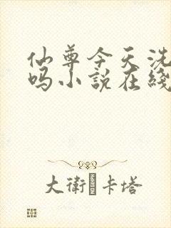 仙尊今天洗白了吗小说在线阅读