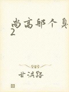 尚高那个臭小子2