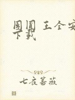 团圆 王全安 下载