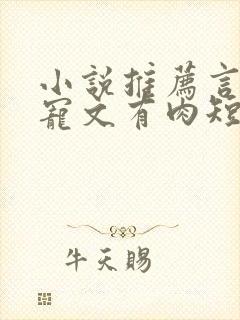 小说推荐言情甜宠文有肉短篇完结