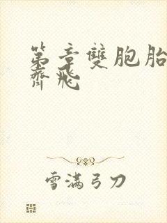 第章双胞胎姐妹齐飞