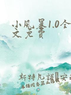 小风暴1.0全文免费