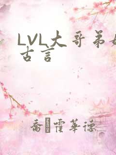 LVL大哥弟媳古言