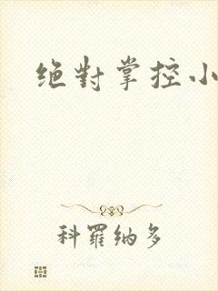 绝对掌控小说