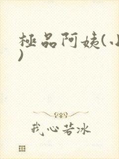 极品阿姨(小说)