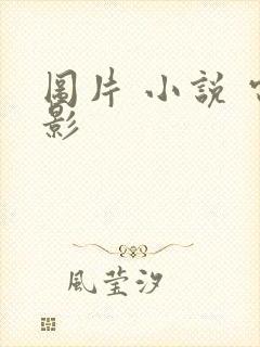 图片 小说 电影