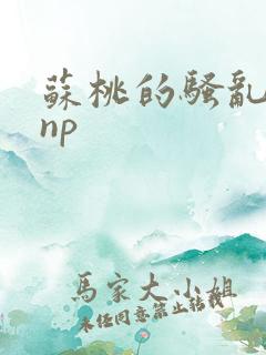 苏桃的骚乱文肉np