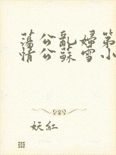 荡公乱妇第1章情公苏雪小说