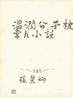 温润公子被脔日常h小说