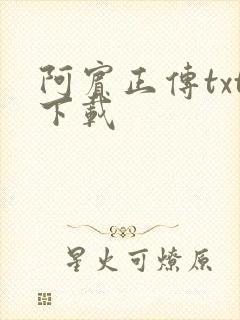 阿宾正传txt下载